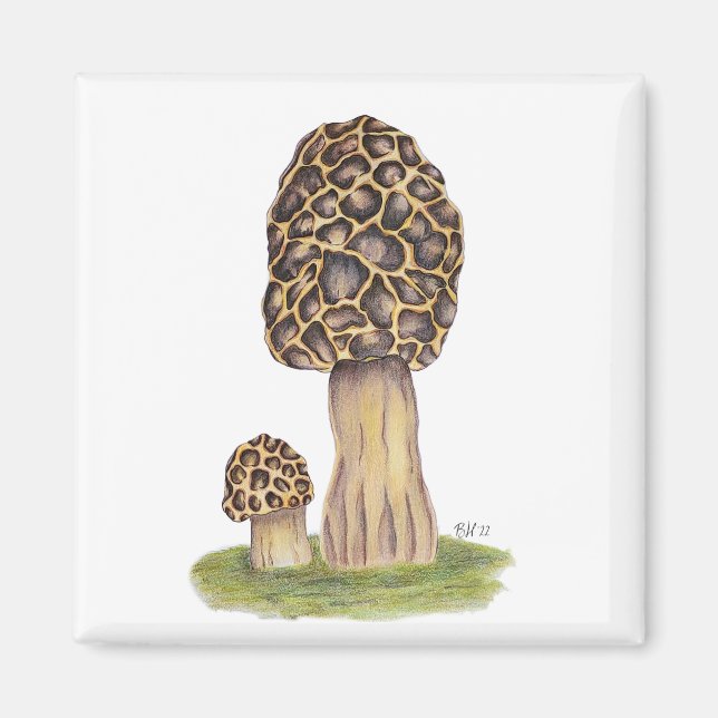 Handgezeichnetes Mushroom Magnet (Vorne)
