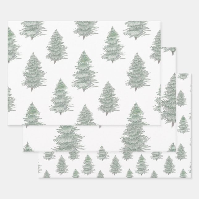 Handgezeichnetes Muster des Evergreen Tree Geschenkpapier Set (Set)