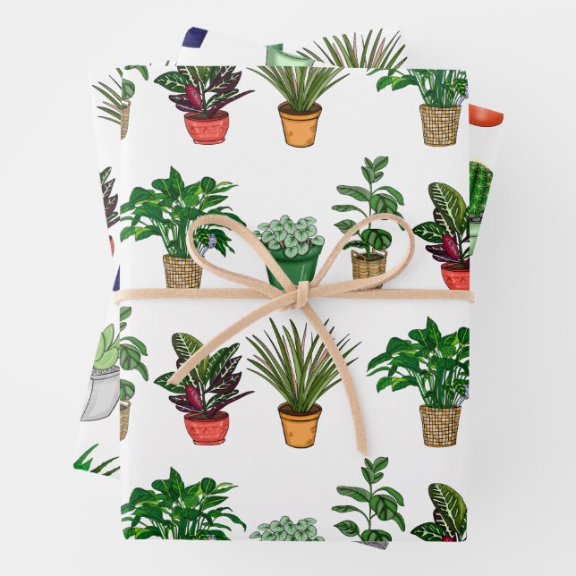 Handgezogene Hauspflanzen Geburtstag Geschenkpapier Set (Beispiel)
