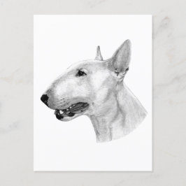 Handgezogenes Bull Terrier Artwork Postkarte