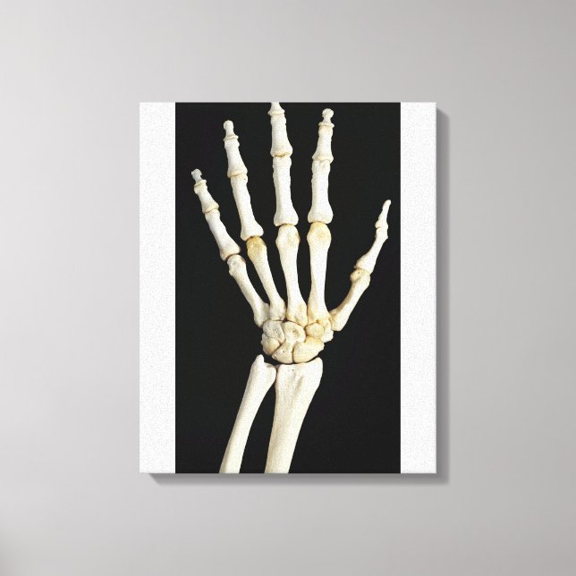 Handknochen Leinwanddruck (Vorderseite)