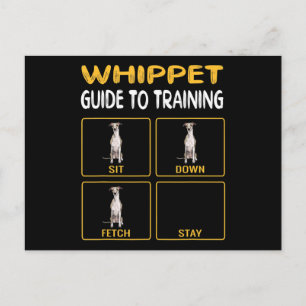 Handleitfaden zum Training von Gehorsam bei Hunden Postkarte