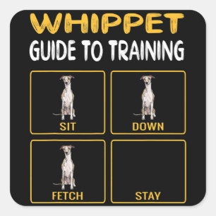 Handleitfaden zum Training von Gehorsam bei Hunden Quadratischer Aufkleber