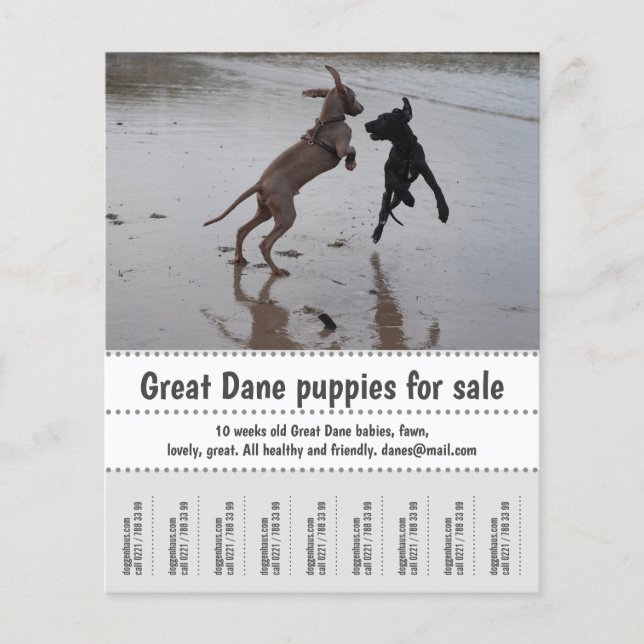 Händlerposter Flyer (Vorne)