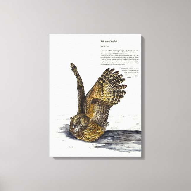 Handpaint gefährdete Owl Print-Leinwand Leinwanddruck (Vorderseite)