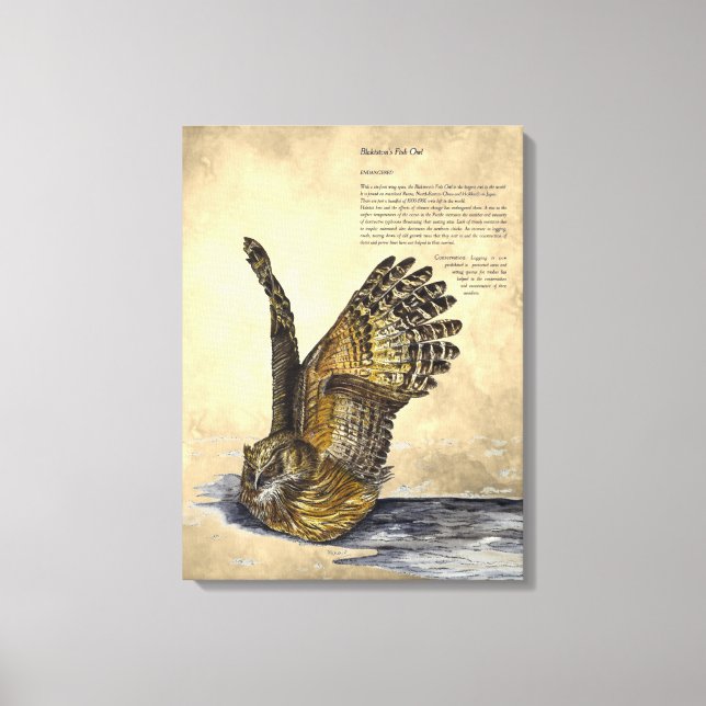 Handpaint gefährdete Owl Print-Leinwand Leinwanddruck (Vorderseite)