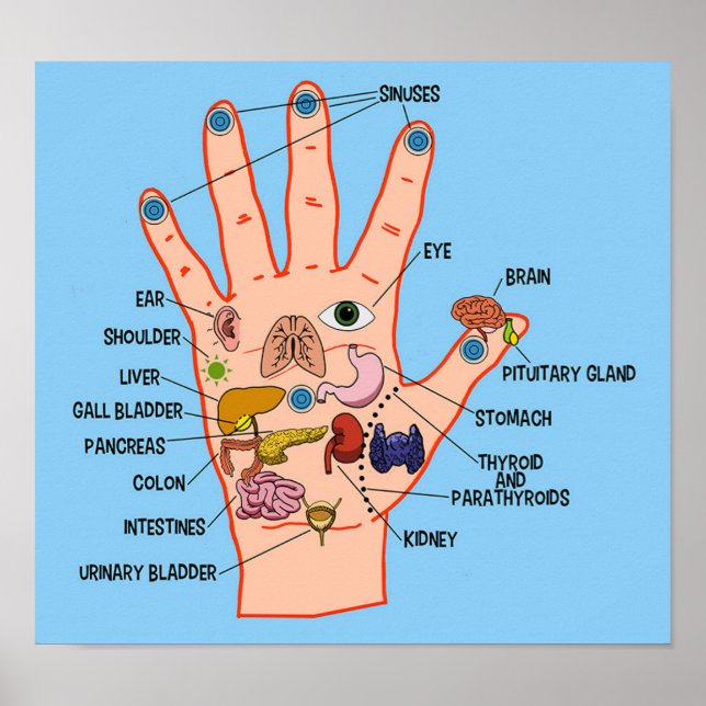 Handreflexologie 13x12" poster (Vorne)