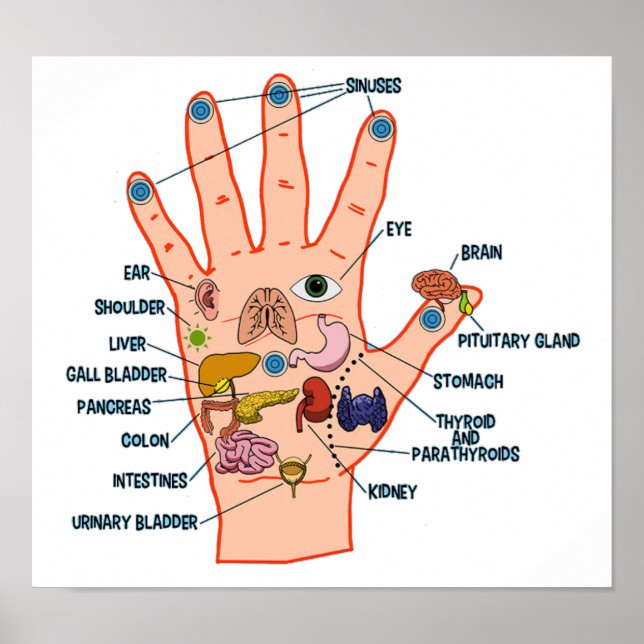 Handreflexologie 13x12" poster (Vorne)