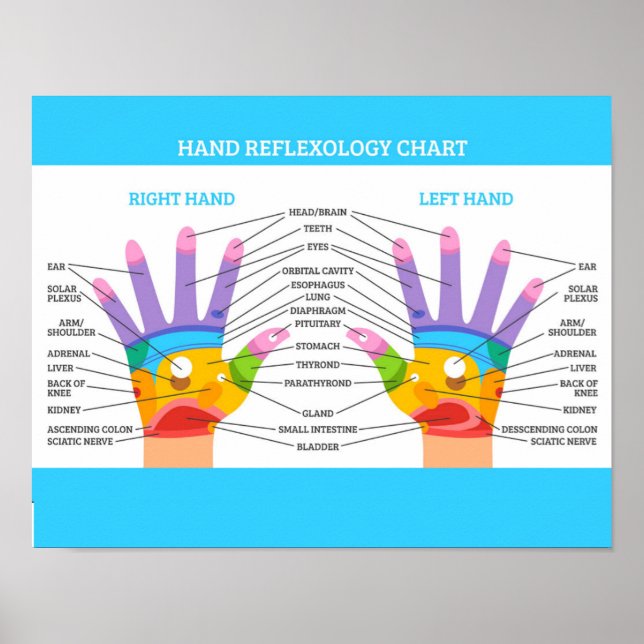 Handreflexologie 14x11" poster (Vorne)