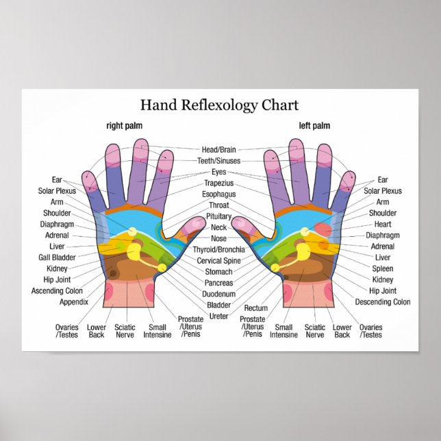 Handreflexologie 16x11" poster (Vorne)