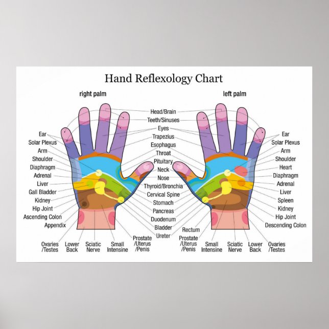 Handreflexologie 36x24" poster (Vorne)