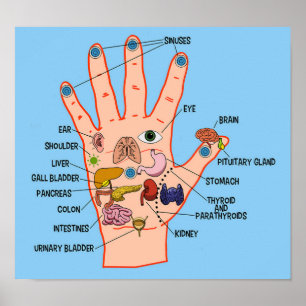HandReflexzonenmassage-Diagramm Poster