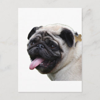 Handsom, weißes Mops Foto-Zubehör, Namen hinzufüge Postkarte