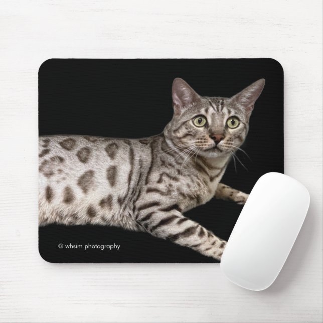 Handsome Bengal Cat Chillaxing in the Condo Mousepad (Mit Mouse)