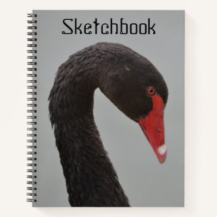 Handsome Black Swan Sketch Notizbuch