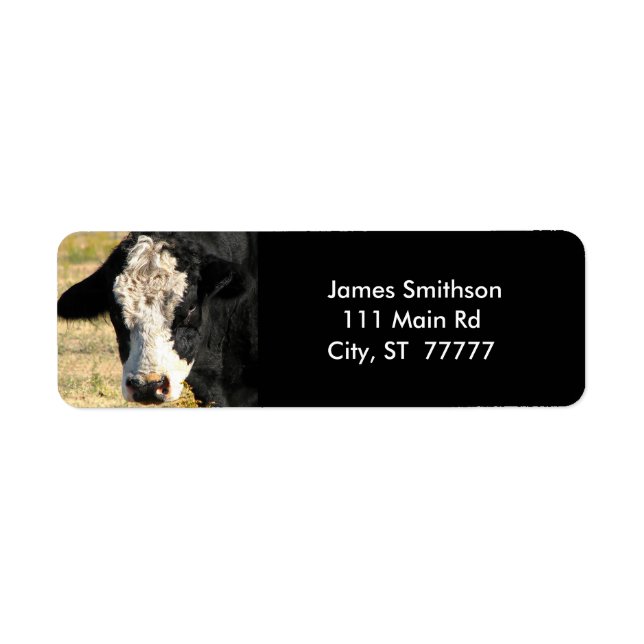 Handsome Bull (Vorne)