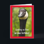 Handsome Canada Goose Funny Birthday Card Karte<br><div class="desc">Er sieht gut aus an seinem Geburtstag,  oder? Sag ihm,  wie fabelhaft er mit dieser albernen Karte ist. Personalisieren Sie die Nachrichten und kreieren Sie Ihren eigenen Spaß. Foto ©Christine Greenspan</div>