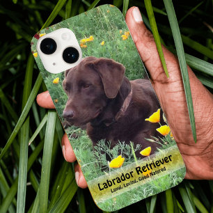 Handsome Chocolate Labrador Do in Poppy Patch Case-Mate iPhone Hülle