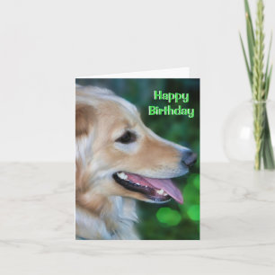 Handsome Golden Retriever Faltkarte Karte