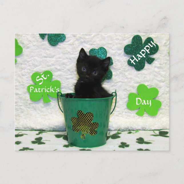 Handsome Jacks St. Patrick's Day Cat / Kitten Postkarte (Vorderseite)