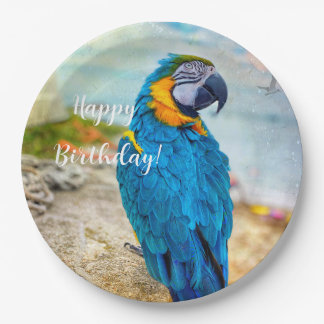 Handsome Macaw Parrot Pappteller