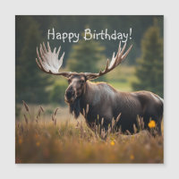 Handsome Moose Magnetic Birthday Card