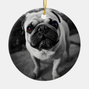 Handsome Mops Keramikornament