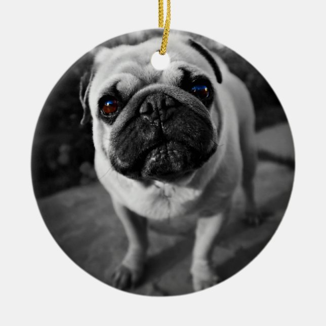 Handsome Mops Keramikornament (Vorne)