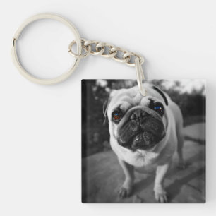 Handsome Mops Schlüsselanhänger