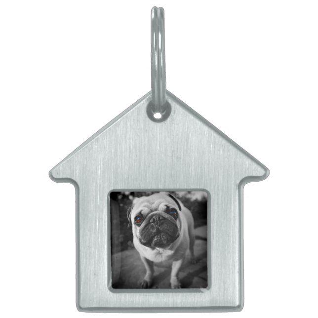 Handsome Mops Tiermarke (Vorderseite)
