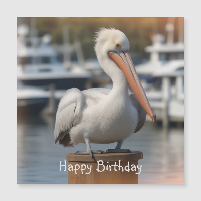 Handsome Pelican Birthday Magnetic Card Magnetkarte (Vorderseite)