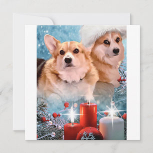 Handsome Pembroke Welsh Corgis Holiday Card Feiertagskarte