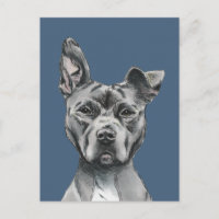 Handsome Pit Bull Terrier Dog Zeichnend