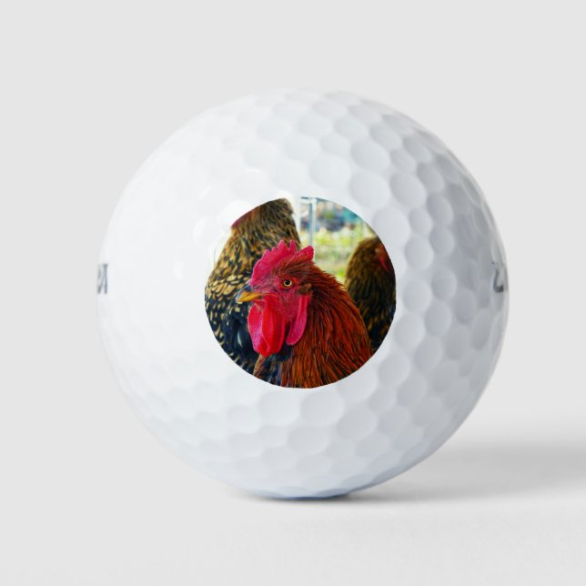 Handsome Rooster Golfball (Vorderseite)