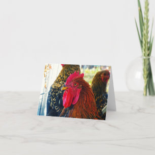Handsome Rooster Karte