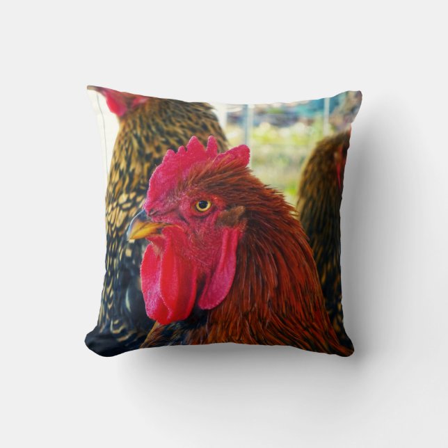 Handsome Rooster Kissen (Vorderseite)