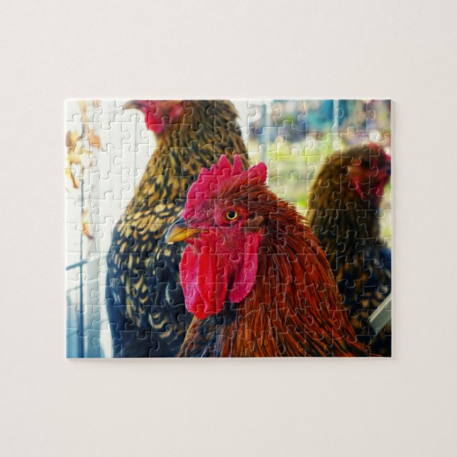 Handsome Rooster Puzzle (Horizontal)