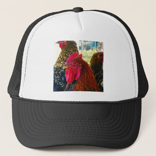 Handsome Rooster Truckerkappe (Vorderseite)