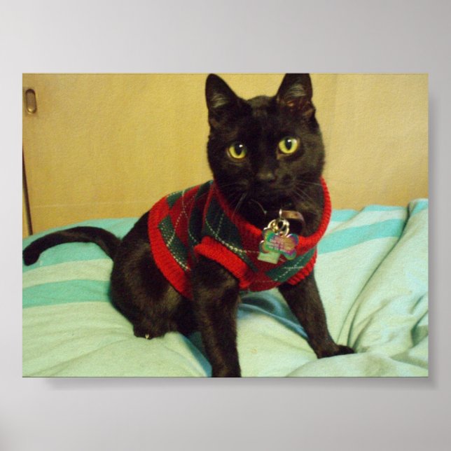 Handsome Seimei Poster Print (Vorne)