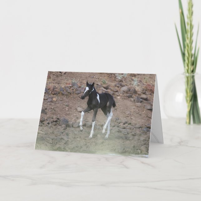 Handsome Wild Colt Folding Card Karte (Vorderseite)