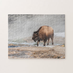 Handsome Young Bison oder Buffalo Puzzle