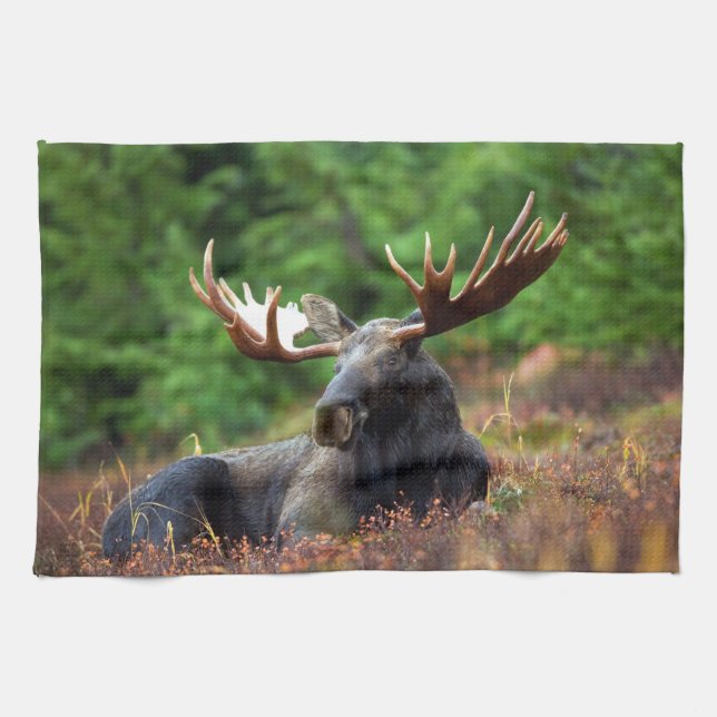 Handtuch (Horizontal)