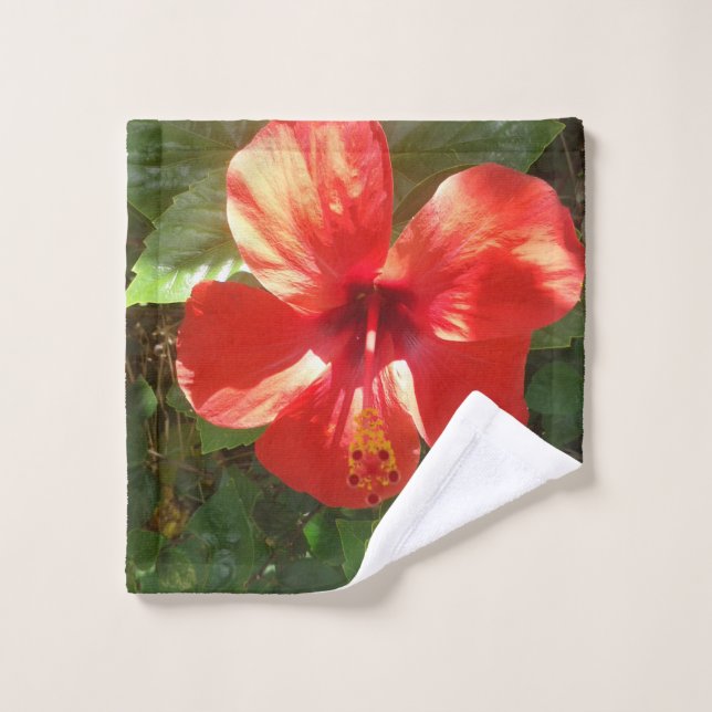 Handtuch Waschlappen (Waschlappen)