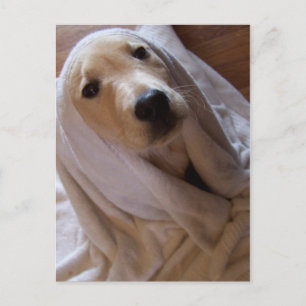 Handtuchdaten Postkarte