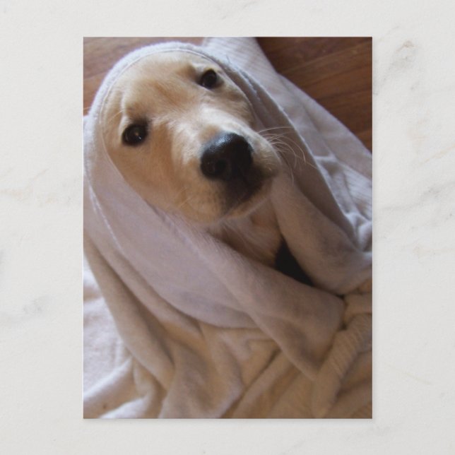 Handtuchdaten Postkarte (Vorderseite)