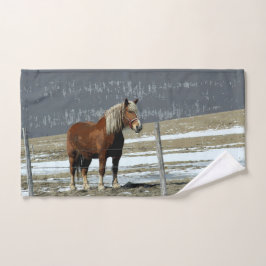 Handtuchhandtuch vom belgischen Pferd Handtuch