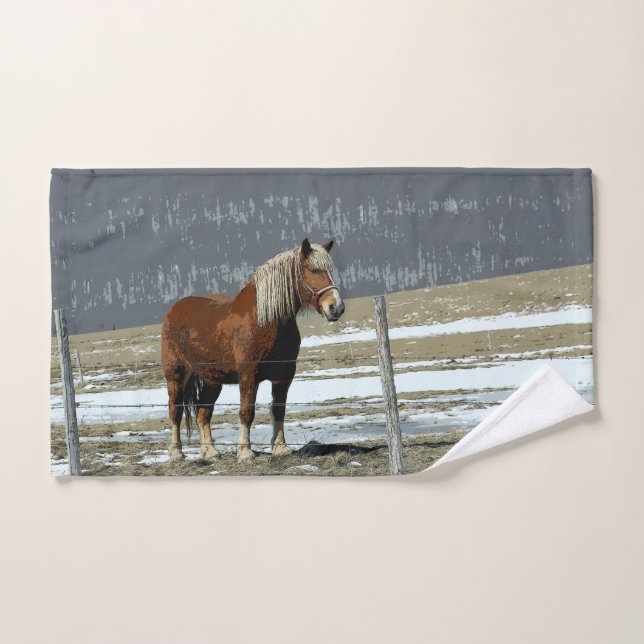 Handtuchhandtuch vom belgischen Pferd Handtuch (Handtuch)