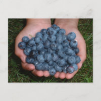Handvoll frischer Blaubeeren