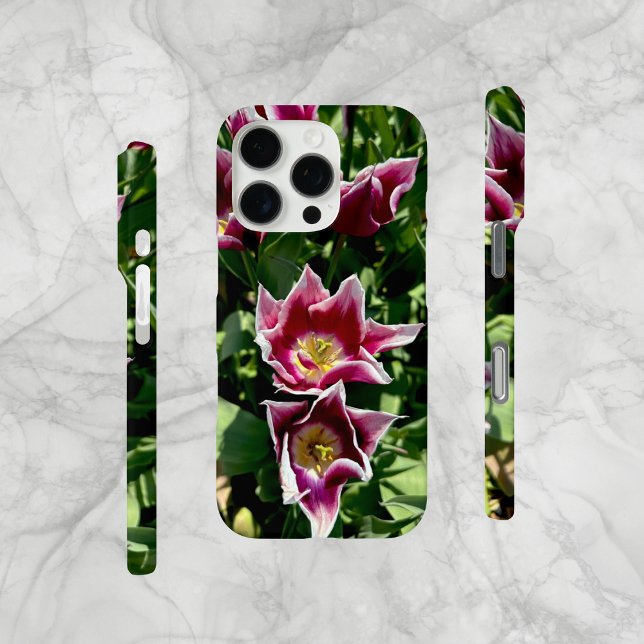 Handy-Fall mit lila und roten Spitzen Case-Mate iPhone Hülle (Original photo, taken near an Amsterdam tulip farm. Unique pointed petal tulips.  iPhone Cell-Mate.)