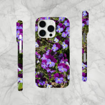 Handy-Fall: Violetfeld in Holland